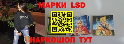 индика Комсомольск-на-Амуре