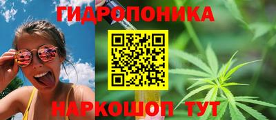 амф Коммунар