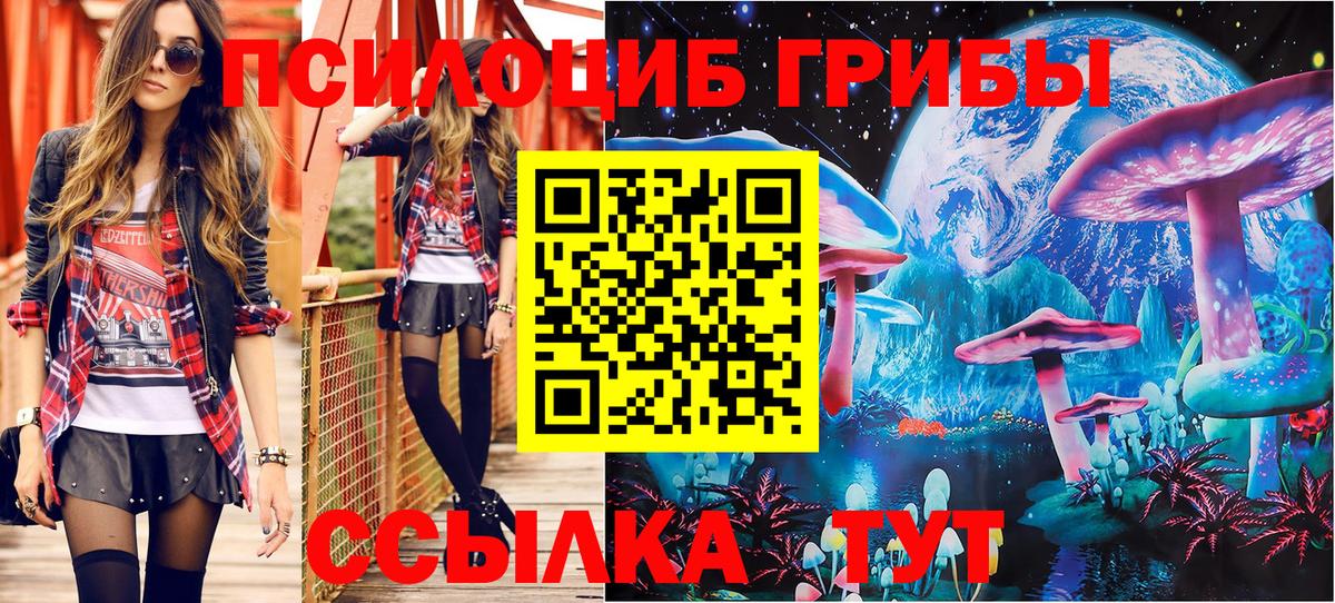 Дедовск  Псилоцибиновые грибы Magic Shrooms  Вход с VPN  Галлюциногенные грибы прущие грибы 